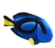 Plush Surgeonfish 6"