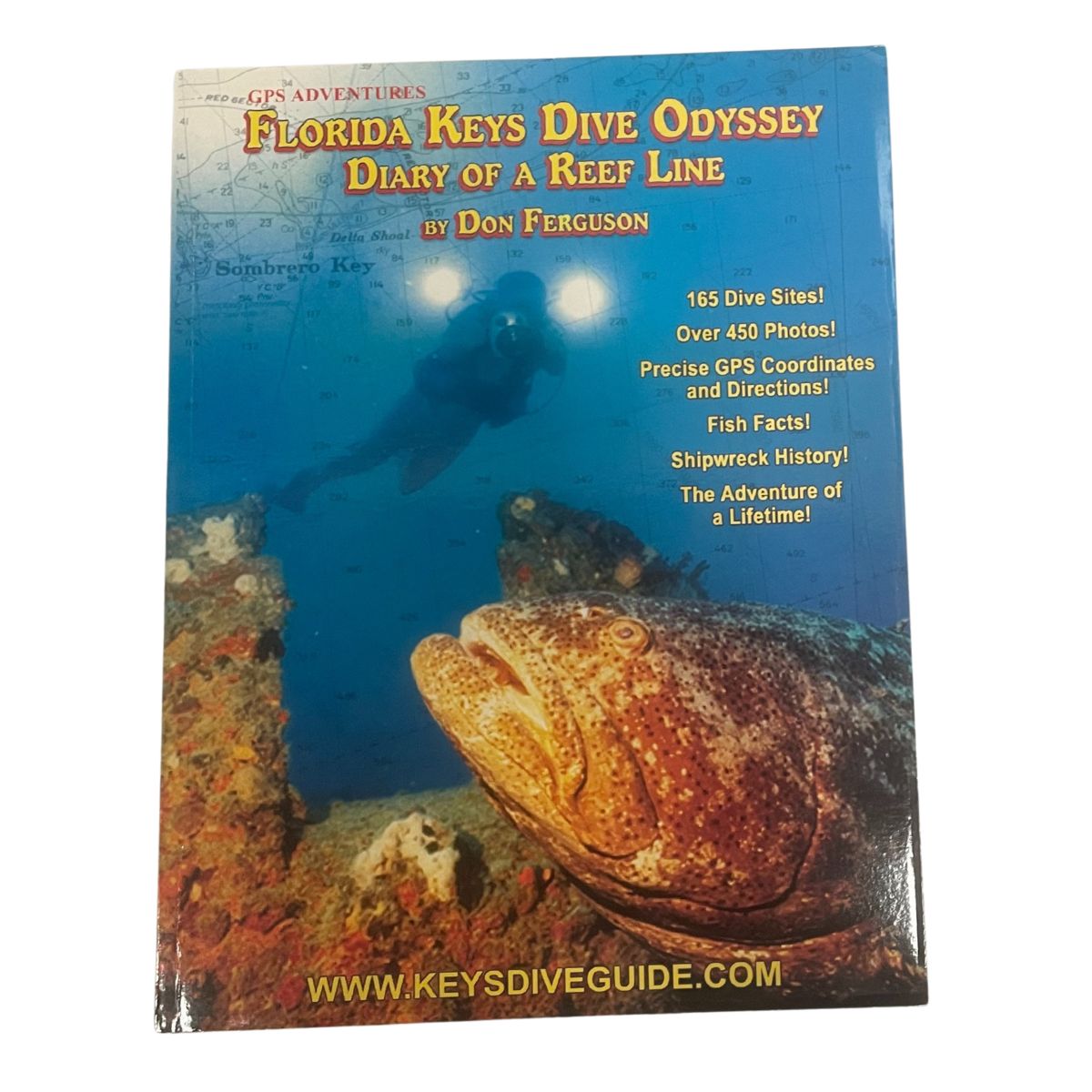 FL Keys Dive Odyssey