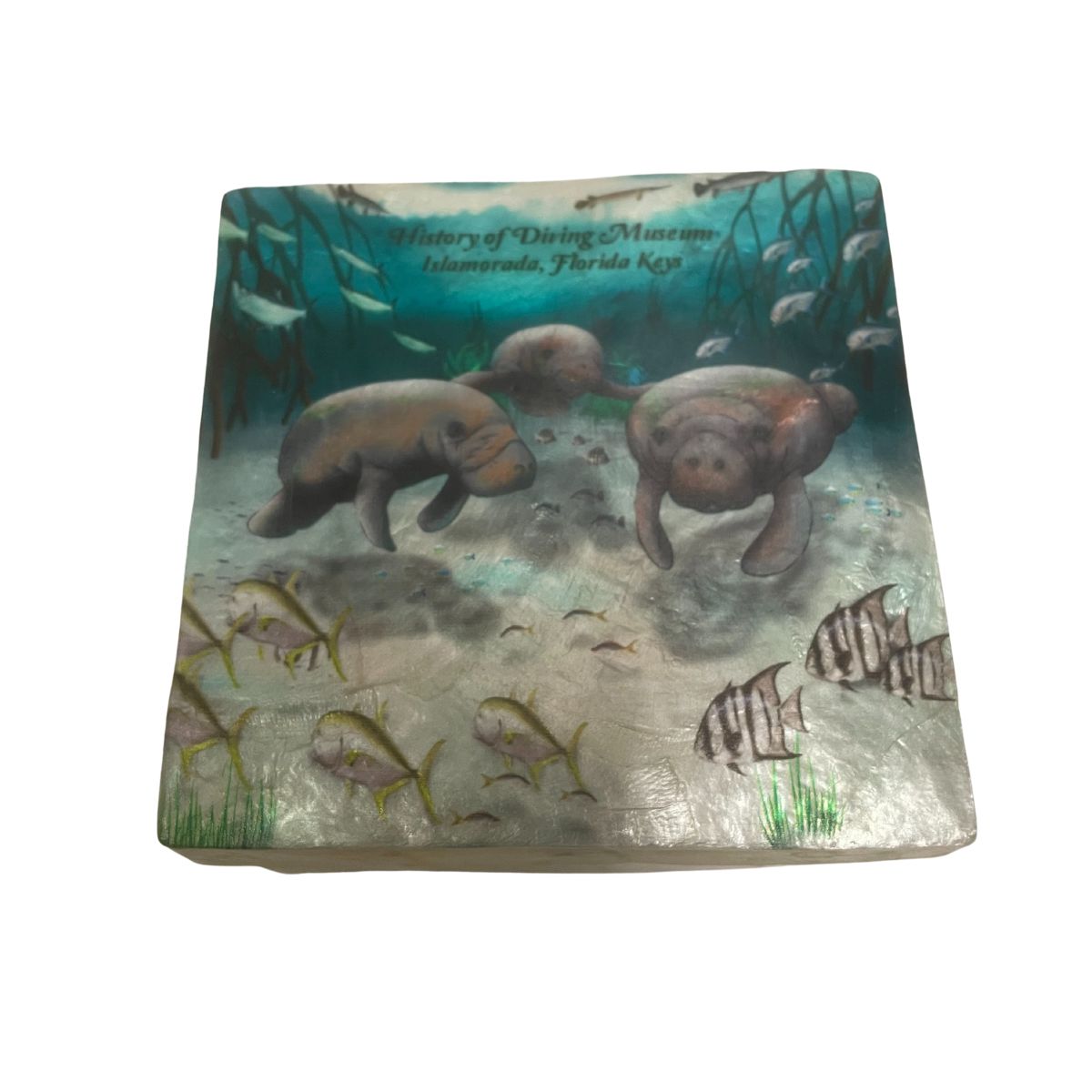 Manatee Family 4" x 4" Capiz Box