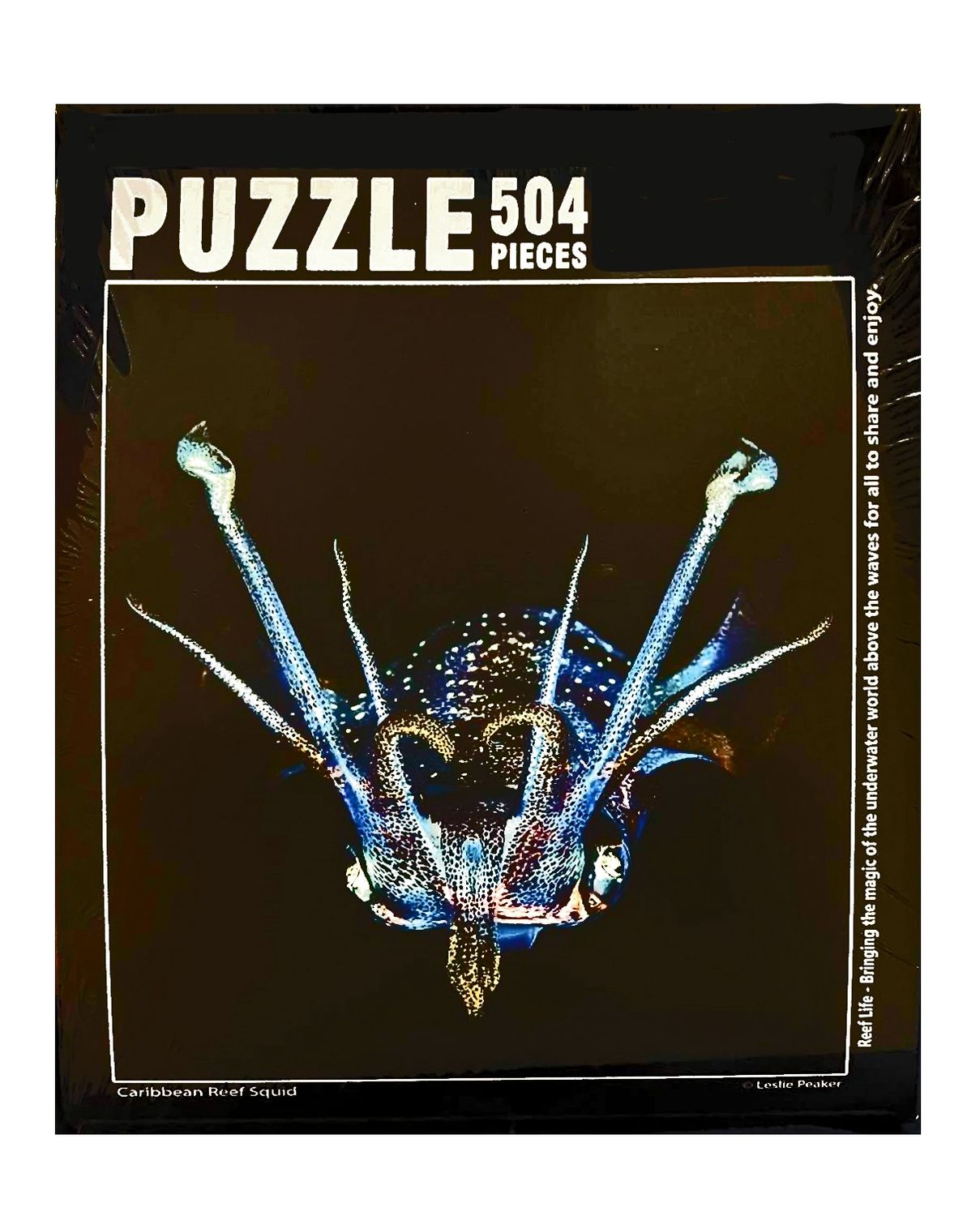 Reef Life Puzzles, Design: Caribbean Reef Squid