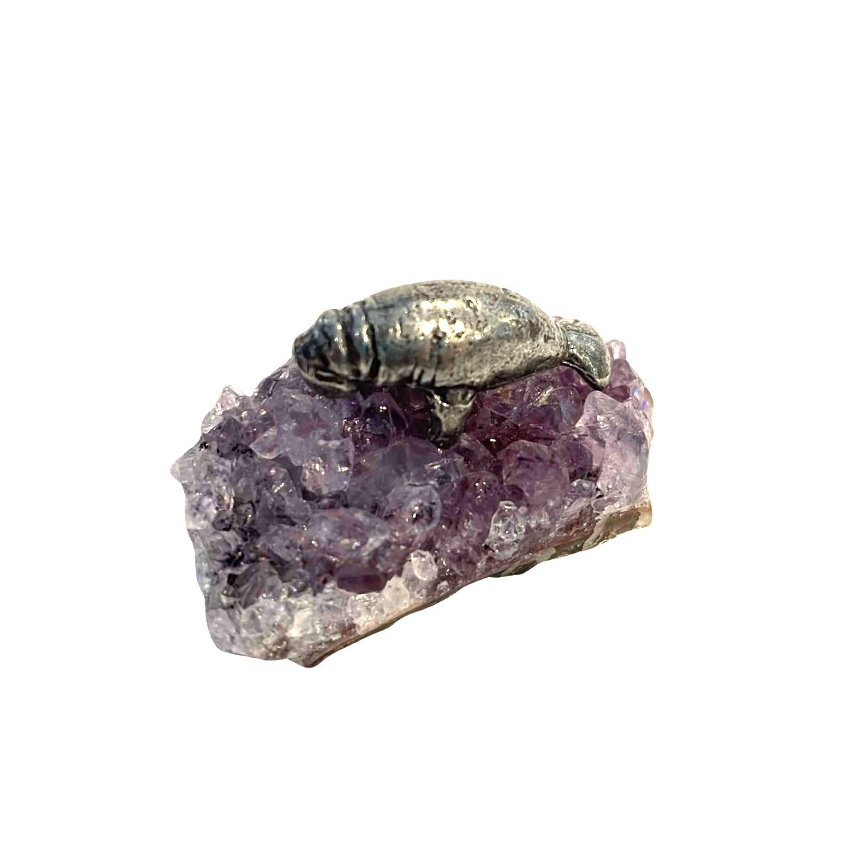 Manatee sm on amethyst