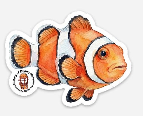 Clown fish