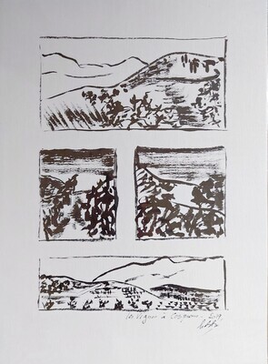 Balade en Terre Catalane © Sylvie BRUNEAU Galerie Art Contemporain