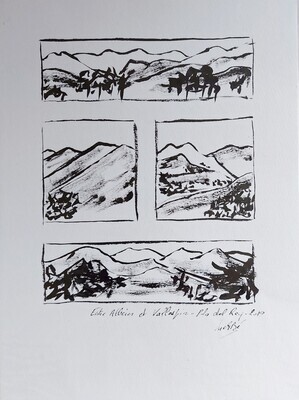 Balade en Terre Catalane © Sylvie BRUNEAU Galerie Art Contemporain