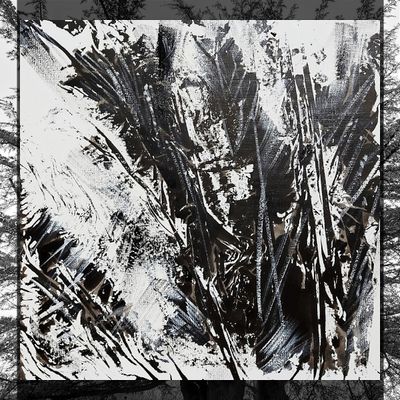 Le cèdre sous la tempête