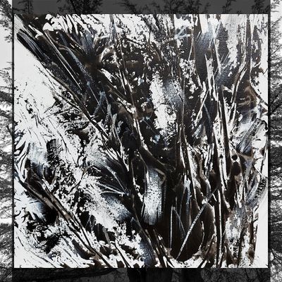 Le cèdre sous la tempête