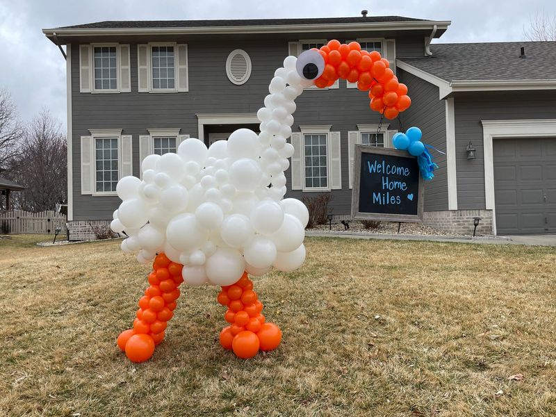 Balloon Stork