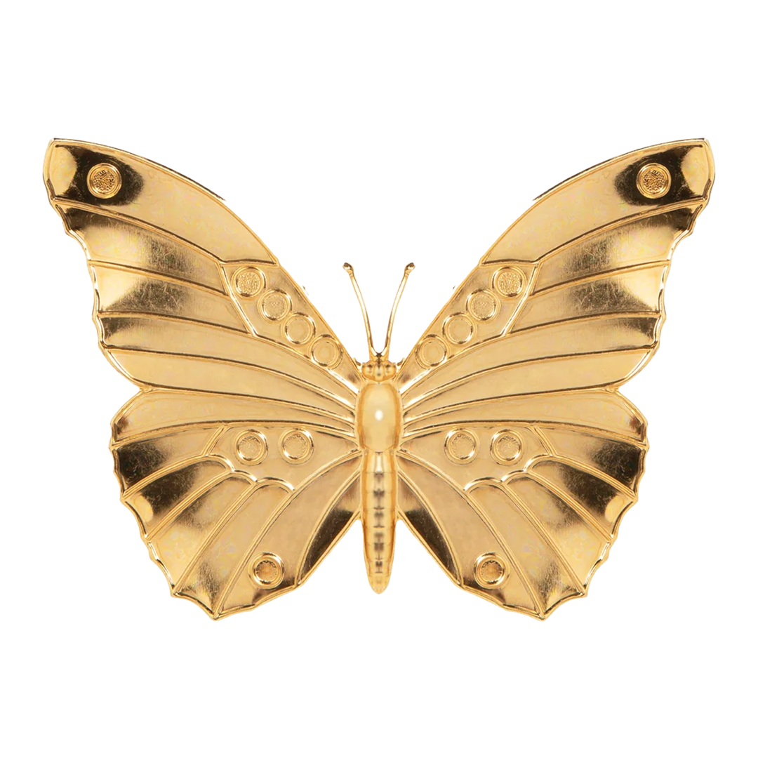 Caria barrette