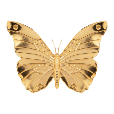 Caria barrette