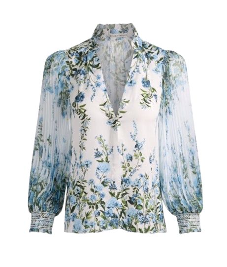 ilan pltd blsn slv btnft blouse