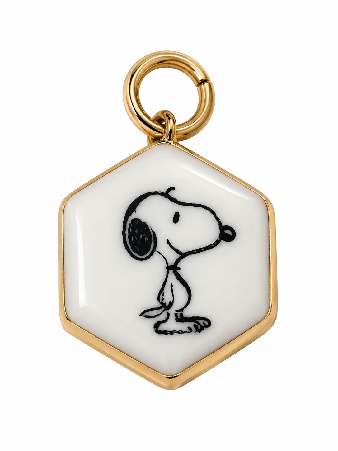 Dog Charm