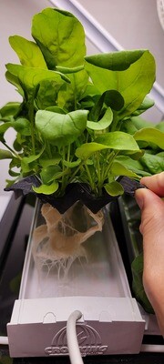 SILICONE SUBSTRATE™ - NFT covers by KAPPA AgTech™