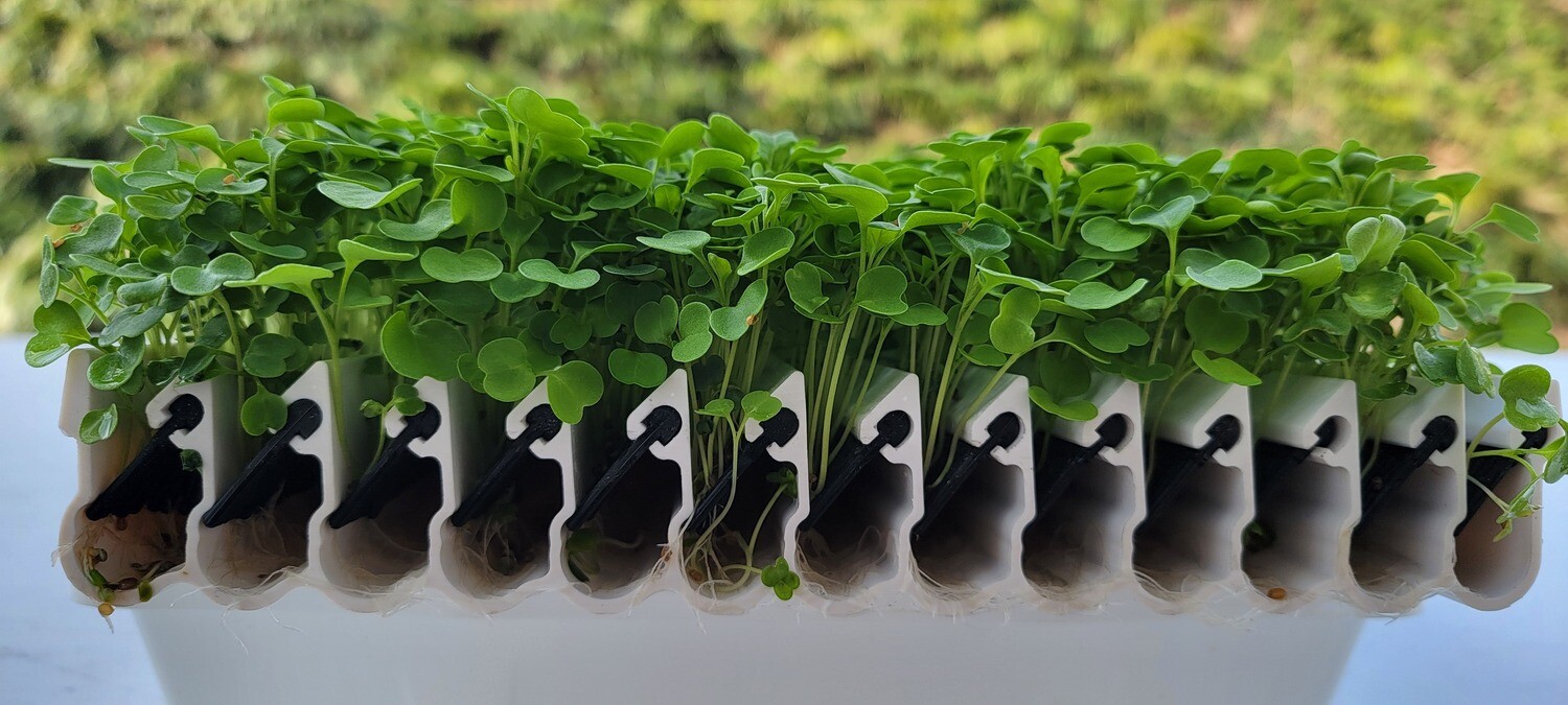 KAPPA AgTech™  - SILICONE SUBSTRATE™ - microgreens tray (4-pack)