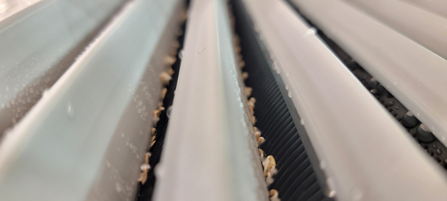 KAPPA - SILICONE SUBSTRATE™ - microgreens tray (4-pack)