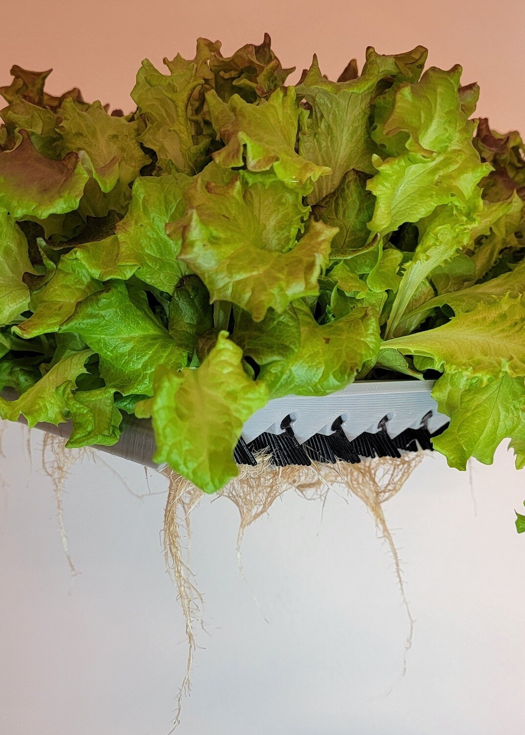 SILICONE SUBSTRATE™ - deep water culture rafts (DWC) by KAPPA AgTech™