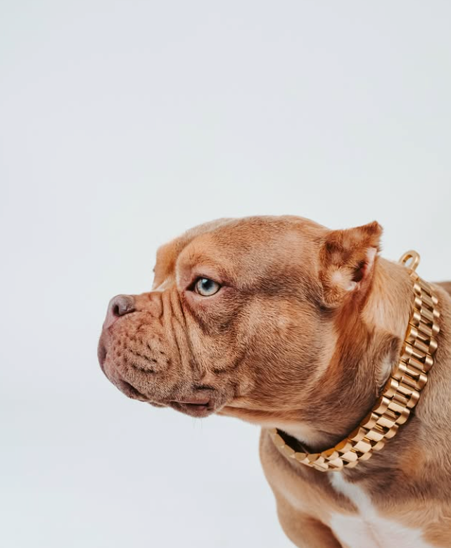 DeadPrez: Rose Gold