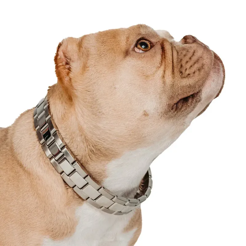 Clam Diver: White Gold