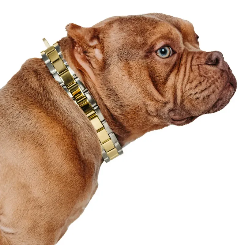 Clam Diver: Two Tone