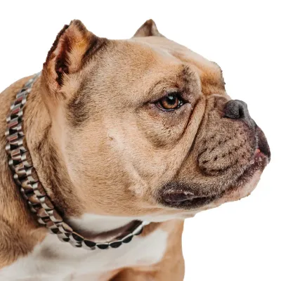 DeadPrez: White Gold