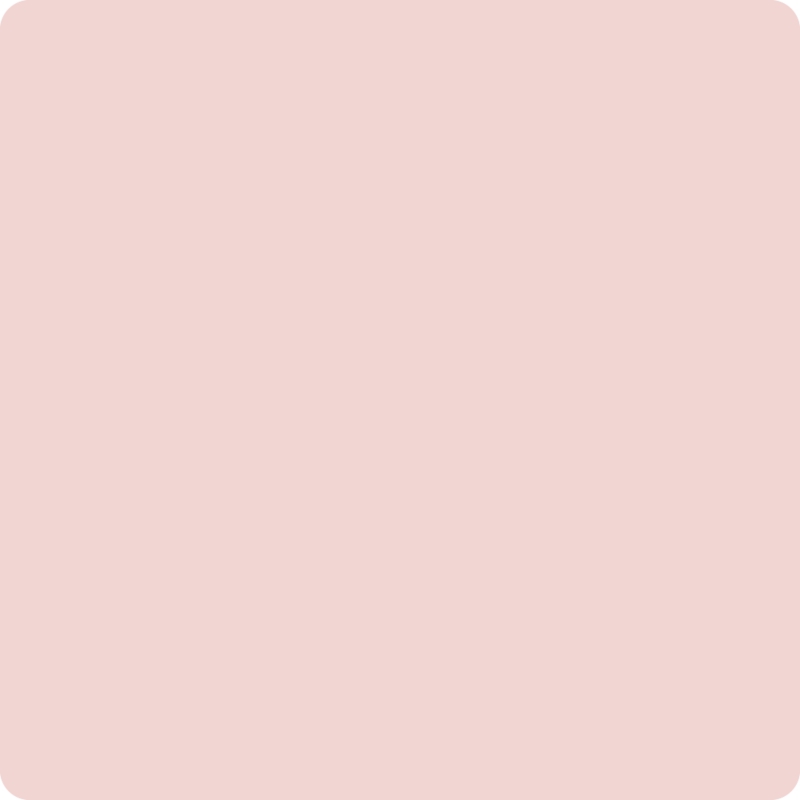 Chalk Synthesis Paint, Petal, 16oz
