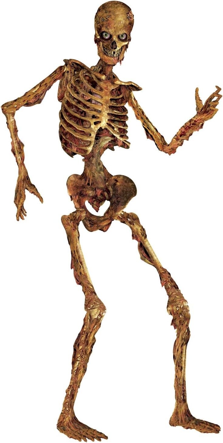 Beistle Halloween Jointed Skeleton Figure, 6-Feet