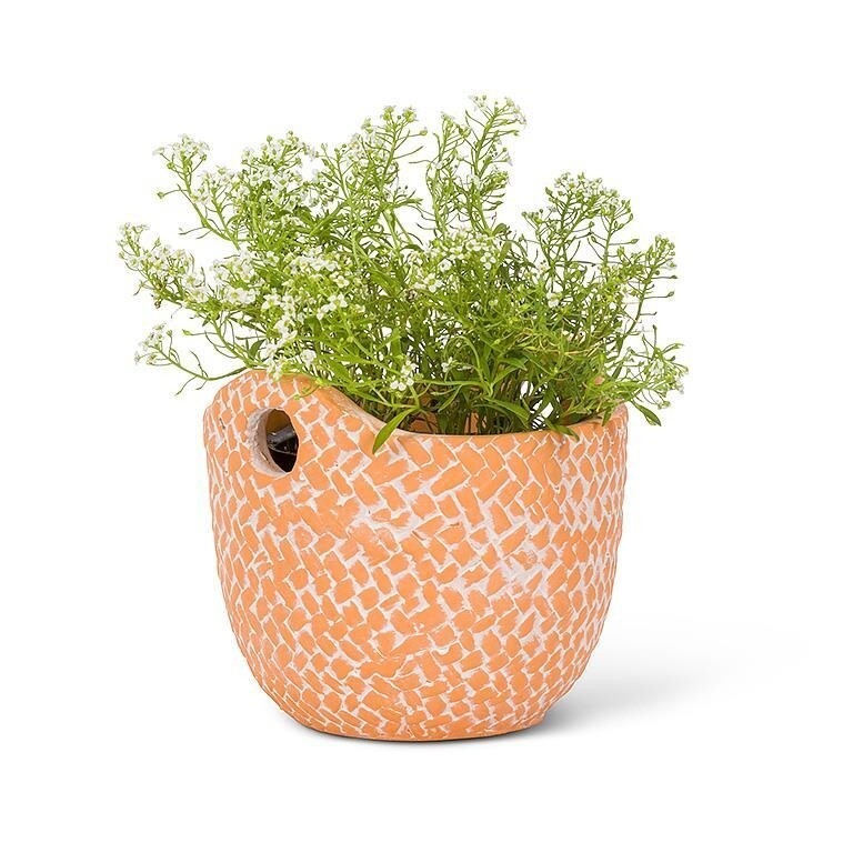 Small Woven Planter with Handles