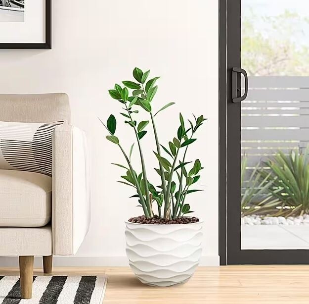 White Wavy Design MgO Fiberclay Planter