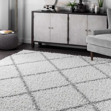 House of Hampton Darryll Moroccan Shag Performance Off-White Area Rug