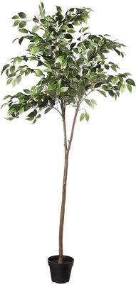 Artificial Ficus Tree Fake Plant with Plastic Planter Pot - 63-Inch