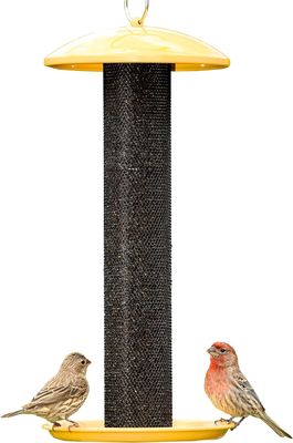 Perky Pets Yellow Straight Sided Finch Feeder
