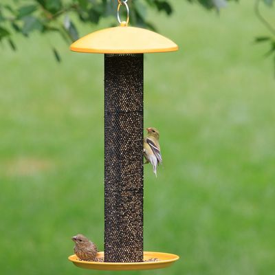 Perky Pets Yellow Straight Sided Finch Feeder