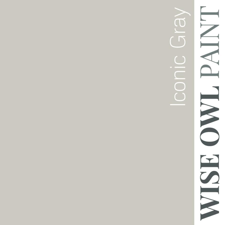 One Hour Enamel Paint, Quart, Iconic Gray
