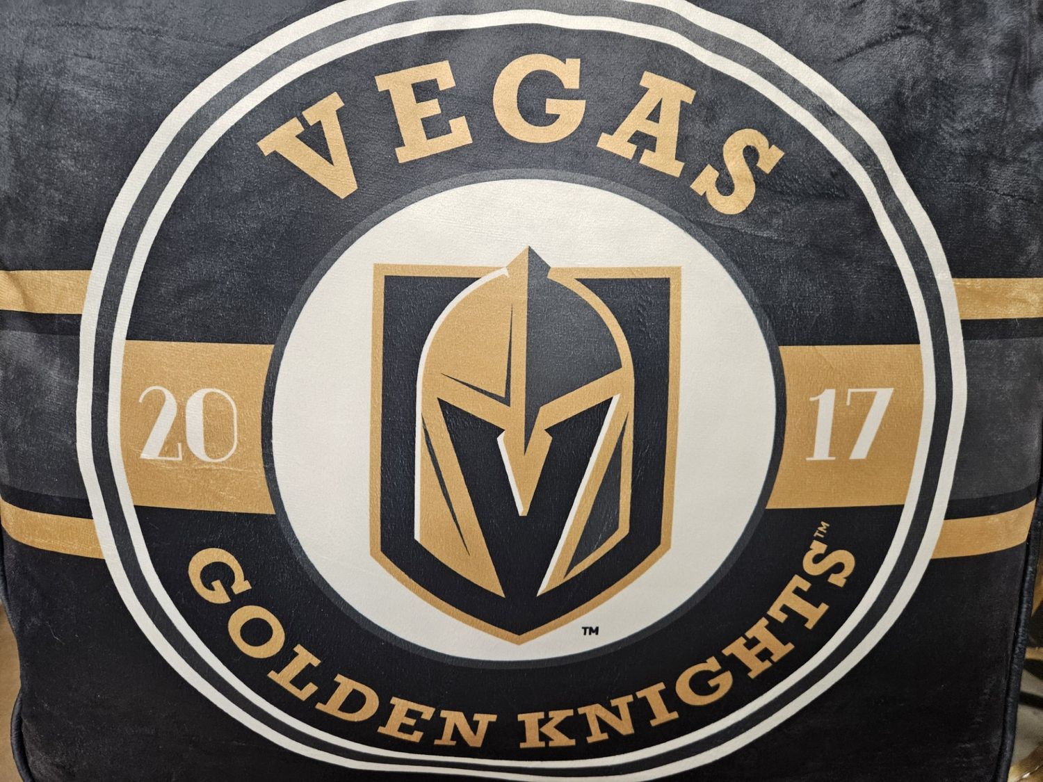 Vegas Golden Knights 24x24 Decorative Throw Pillow