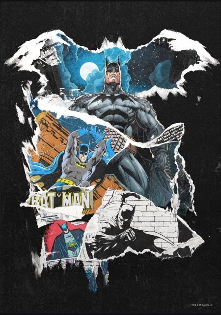 Batman 80th Anniversary Canvas, 17&quot; x 24&quot;