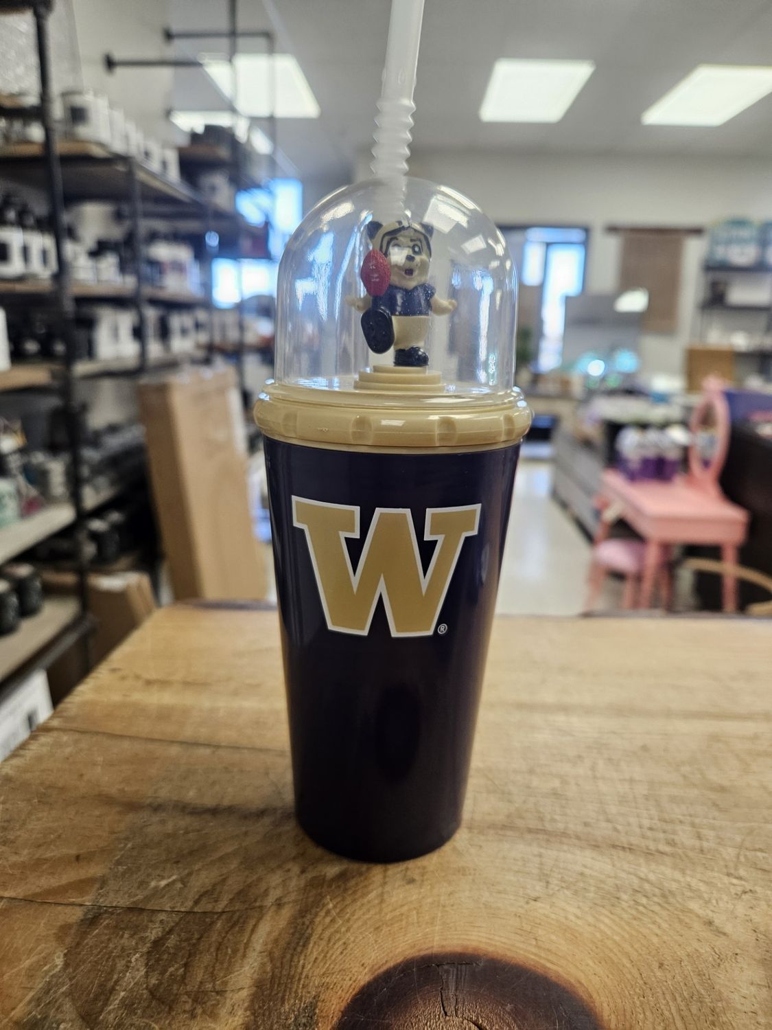 Collegiate Mascot Cup Washington Huskies