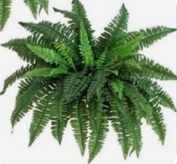 Nearly Natural Fern Bouquet