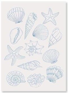 Blue Coastal Canvas Wall Art Print; Sea Shells