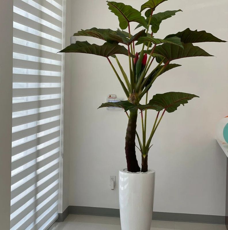 CFA Design Group 78&#39;&#39; Faux Pine Plant