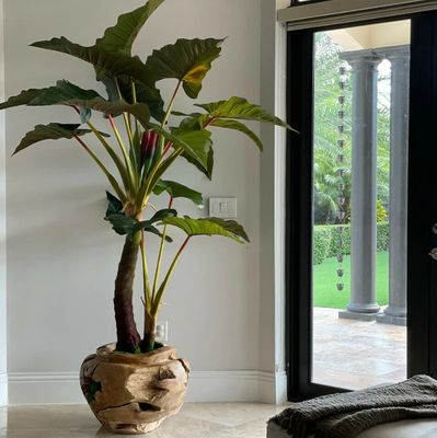 CFA Design Group 78&#39;&#39; Faux Pine Plant