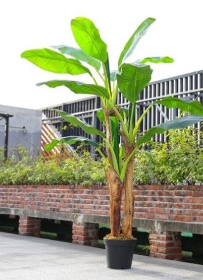 6FT Large Artificial Banana Tree
