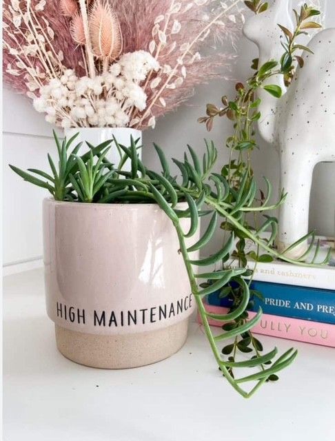 High Maintenance Planter