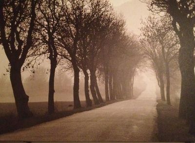 46&quot;x31&quot; &quot;Misty Road&quot; Canvas