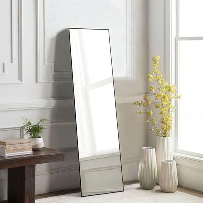 *Imperfect* DUMOS 59&quot;x16&quot; Full Length Mirror