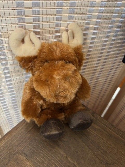 Bear with Me; Moose Stuffie 9&quot;
