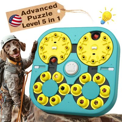 KADTC Dog Explorer Adventurer Puzzle Toy