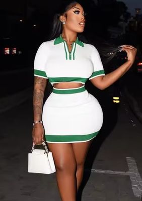 2 Piece Polo Neck Short Sleeve Crop Top+Skirt