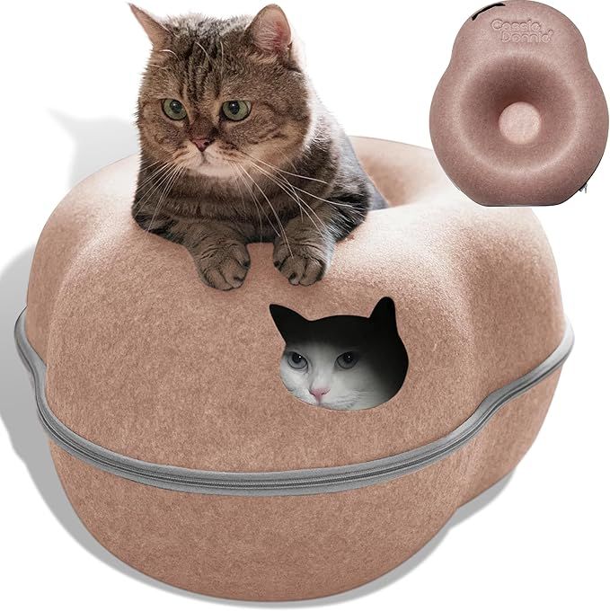 Cassie Donnie Cat Tunnel Bed for Indoor Cats, Medium Large