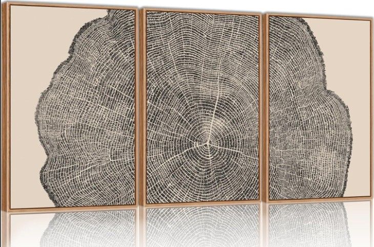 *Imperfect* SIKERIC 3 Piece Wood Tree Ring Wall Art 24x36
