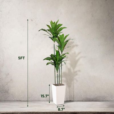 5FT Artificial Dracaena Tree