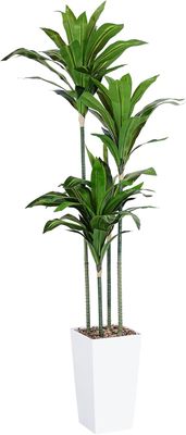 5FT Artificial Dracaena Tree